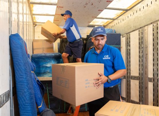 Safe and Professional Handling