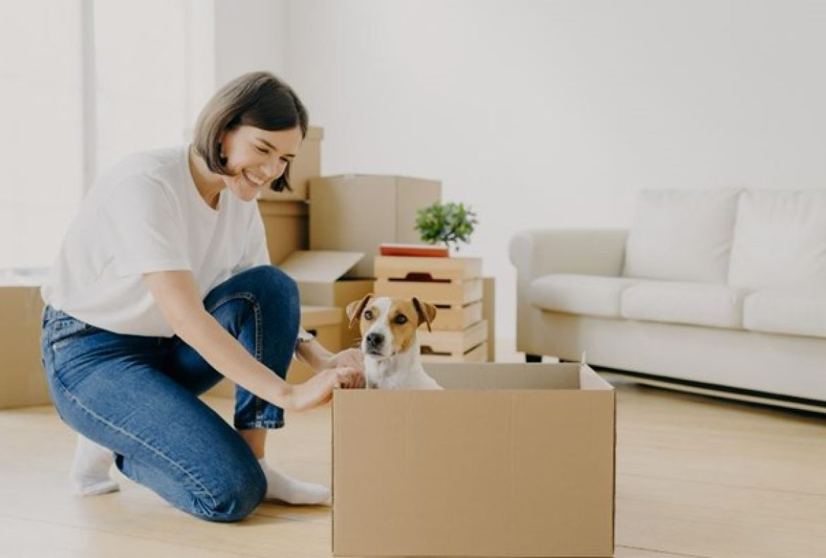 Tips For Moving Household Pets