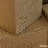 Want to Pack Right? 10 Tips to Pack for a Long Move
